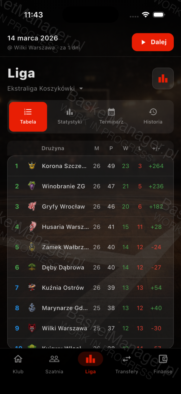 Basket Manager - widok tabeli ligowej z drużynami i statystykami